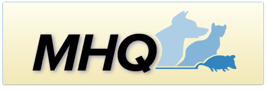 medical health questionnaire logo