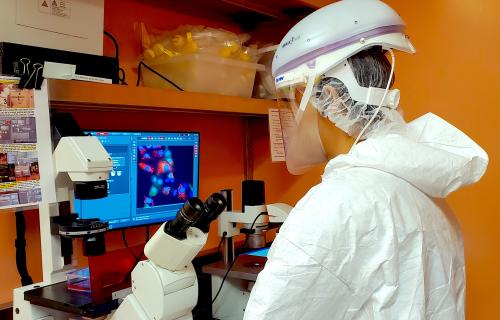 Researcher performing computer tasks. 