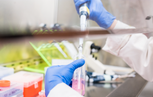 A lab worker is suspending cells in a solution.