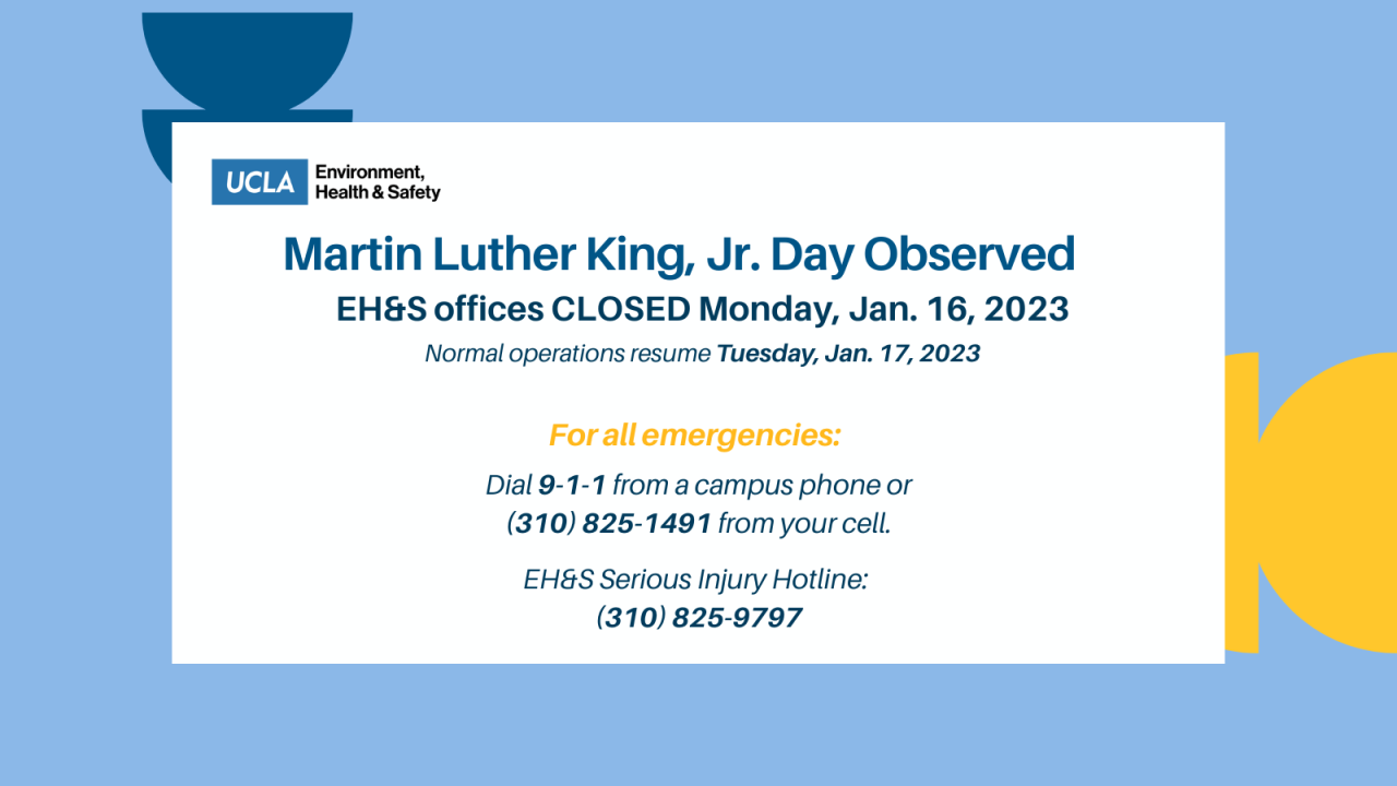 Graphic describing the Observance of Martin Luther King, Jr. Day and the closure of offices for that duration.