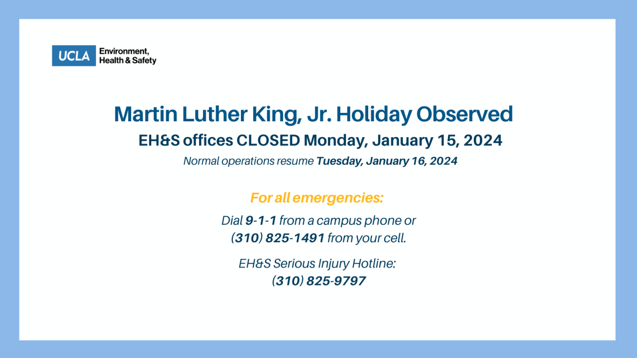 mlk 2024