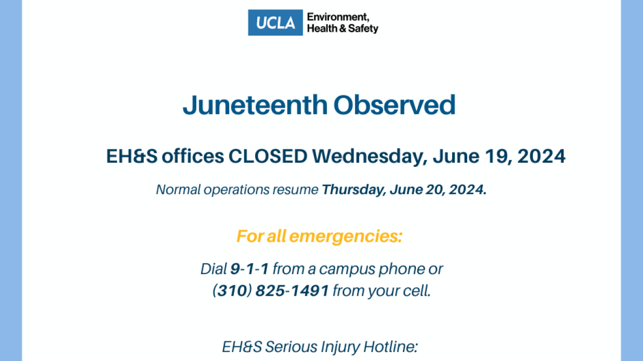 Juneteenth Observed