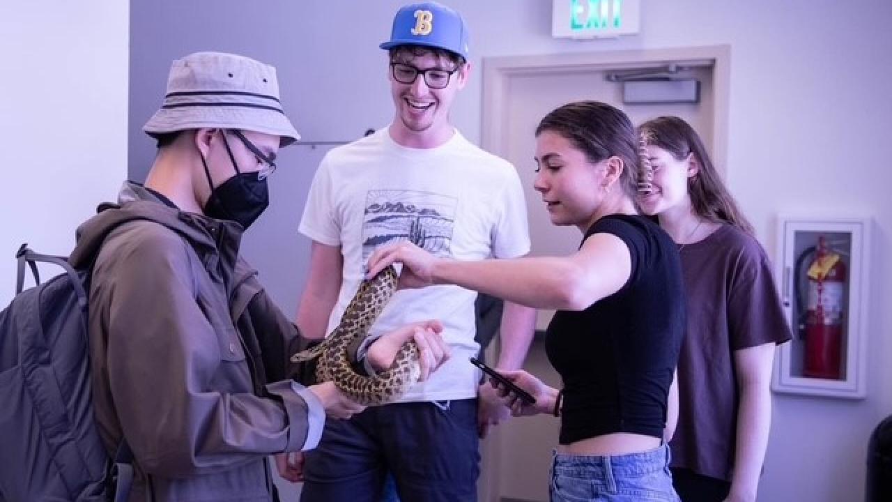 venomous animals workshop