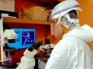 Researcher performing computer tasks. 