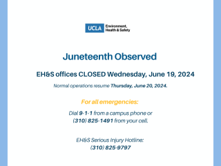 Juneteenth Observed