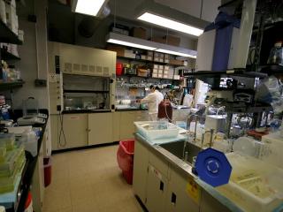 Lab visit